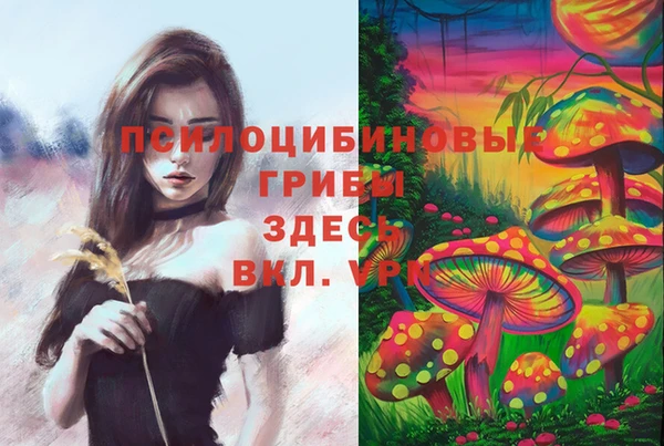 тгк Белокуриха